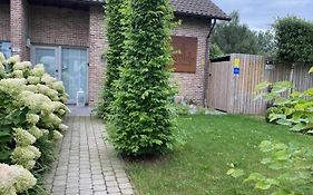 Vakantiewoning Het Wielje Maasland
